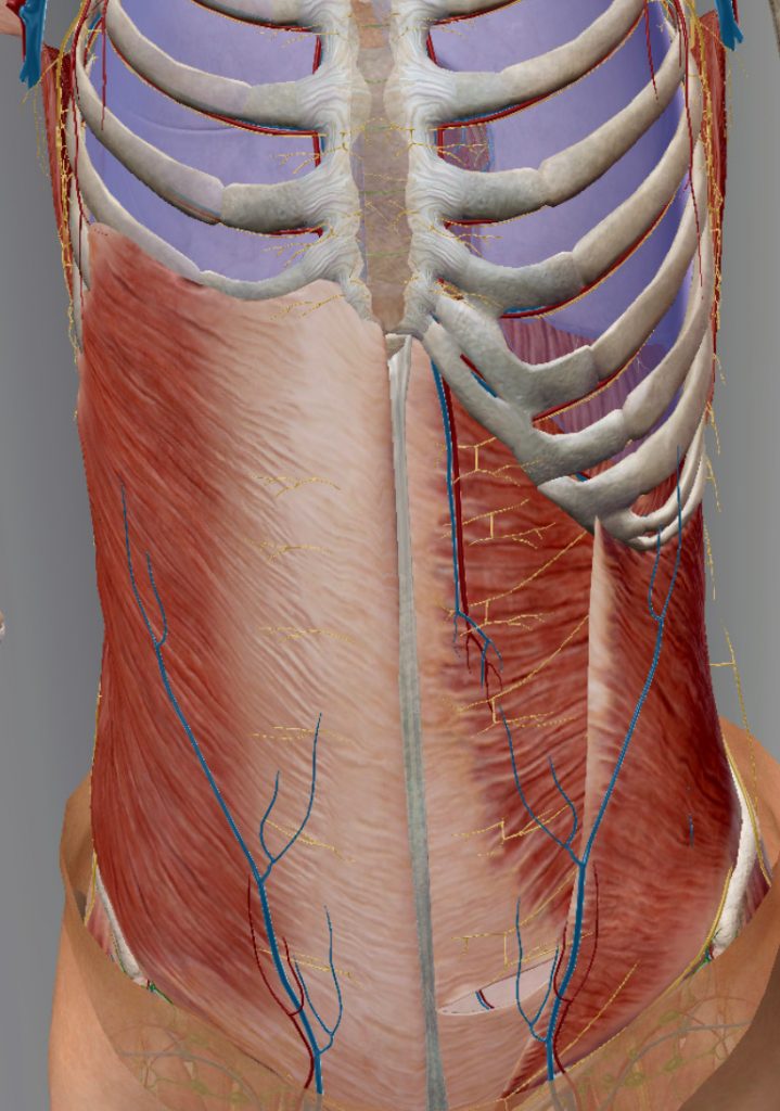 All about Core Stability and why it matters — Norwich Osteopathic Clinic