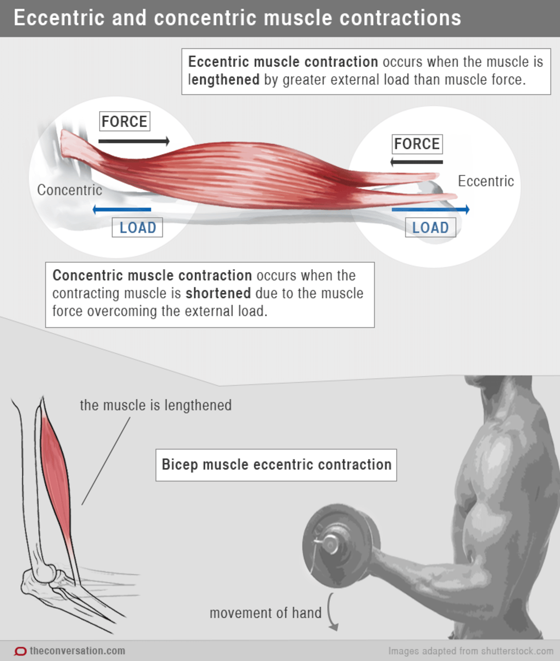 Should I Apply Heat To Sore Muscles At Jesus Jeffords Blog